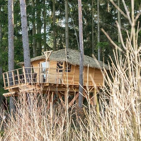 Treehouse U Rybnika Hotell Osecna Exteriör bild