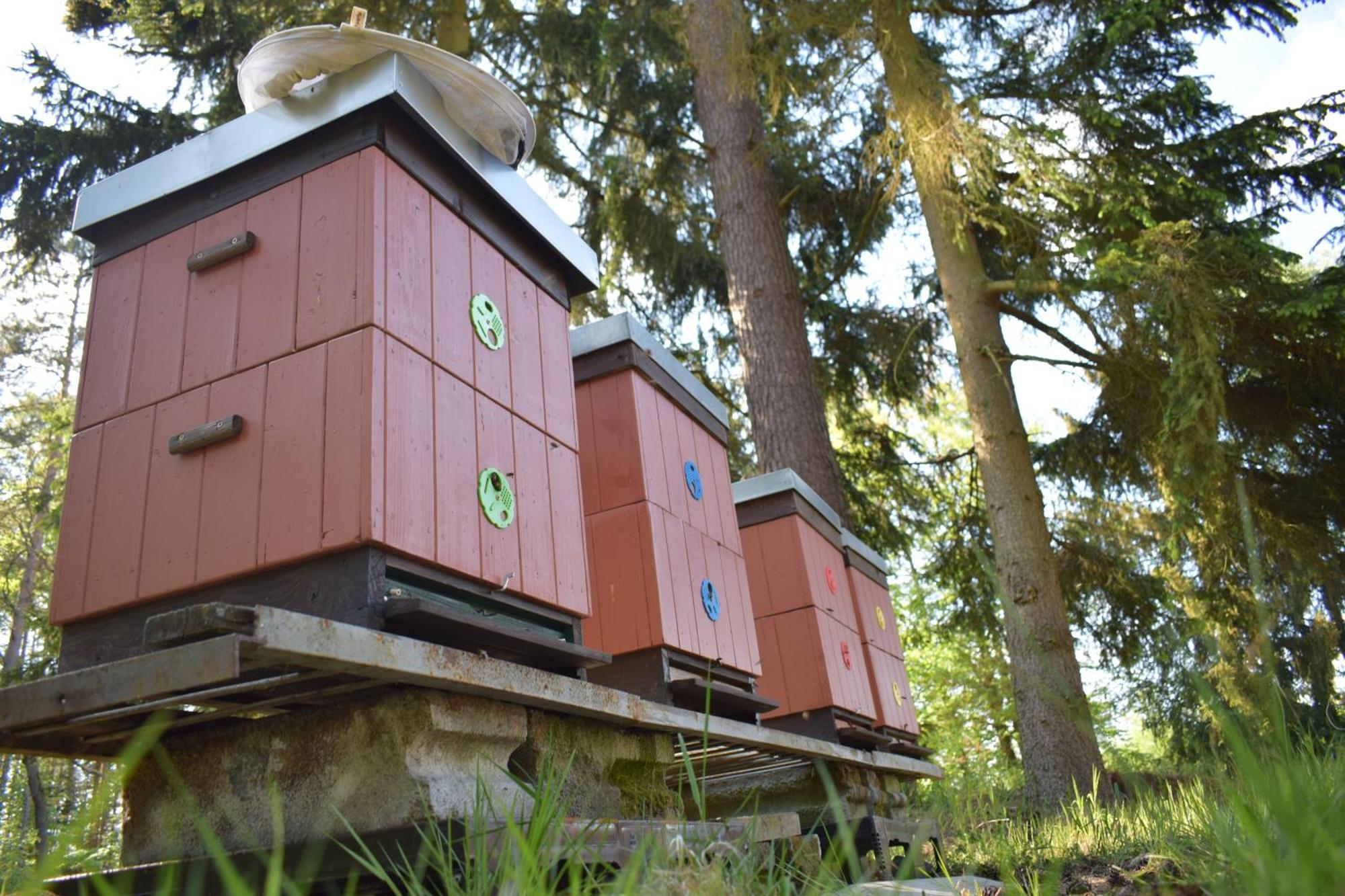 Treehouse U Rybnika Hotell Osecna Exteriör bild